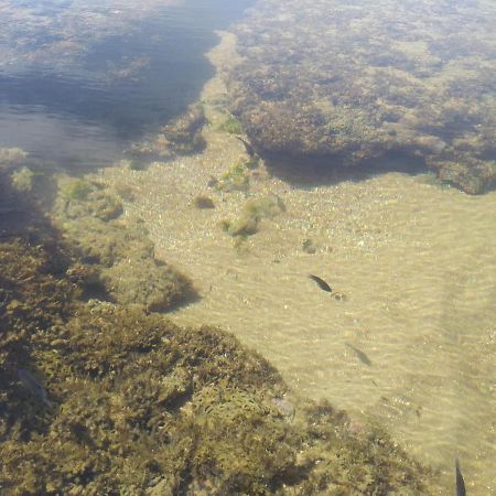 Laguna Ville 08 伊塔齐米林 外观 照片